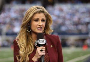 erin andrews threats