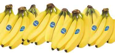 Chiquita news image
