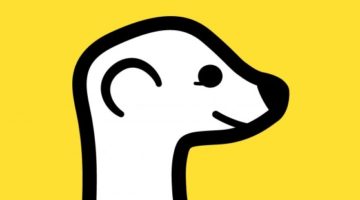what is meerkat
