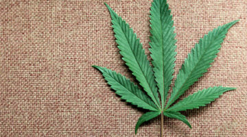 Reversing marijuana stigma