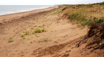 Prince Edward Island has issued an RFP for tourism Marketing Management Services