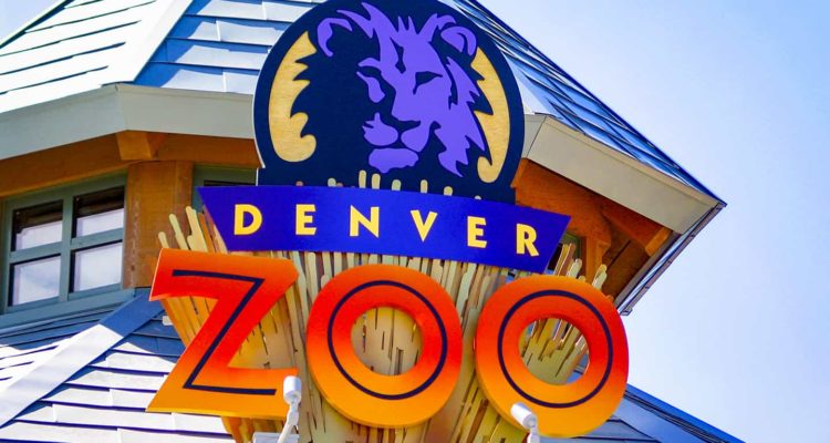 Denver Zoo Issues Website RFP - Everything PR