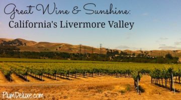Livermore Valley Transit Authority Issues Creative RFP