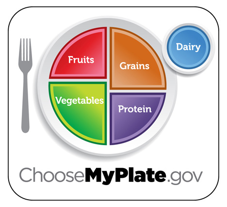 Food Pyramid Replaced by Obama's MyPlate - Everything PR