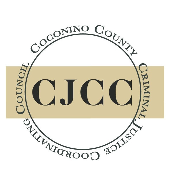Criminal Justice Coordinating Council (CJCC)