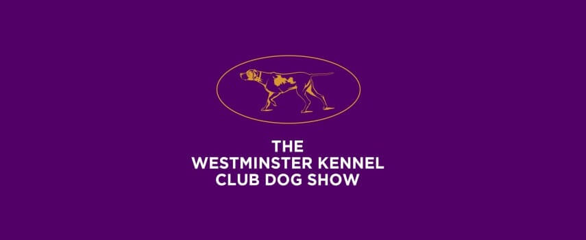 The PR of Best of the Best Dog Show - Everything PR