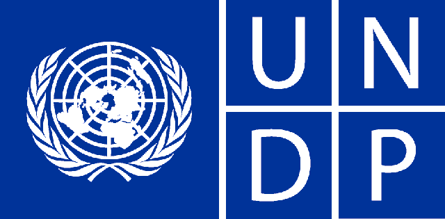 United Nations Development Programme Seeks Social Media Firm