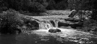 Save Barton Creek Association Issues Website RFP