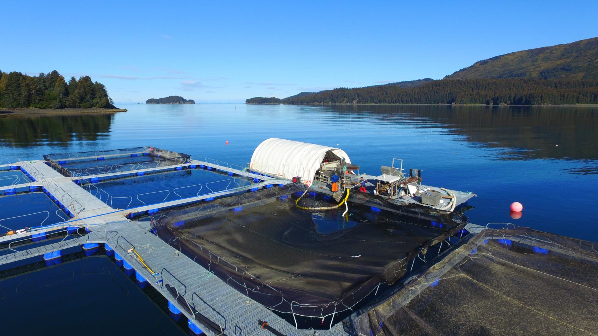 Cook Inlet Aquaculture Association Issues Website RFP - PR News