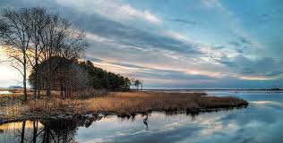 Chesapeake Bay Foundation