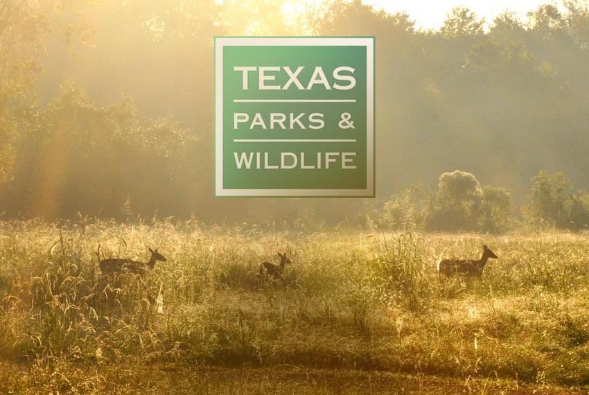 Media Relations RFP Issued By Texas Parks and Wildlife - PR News