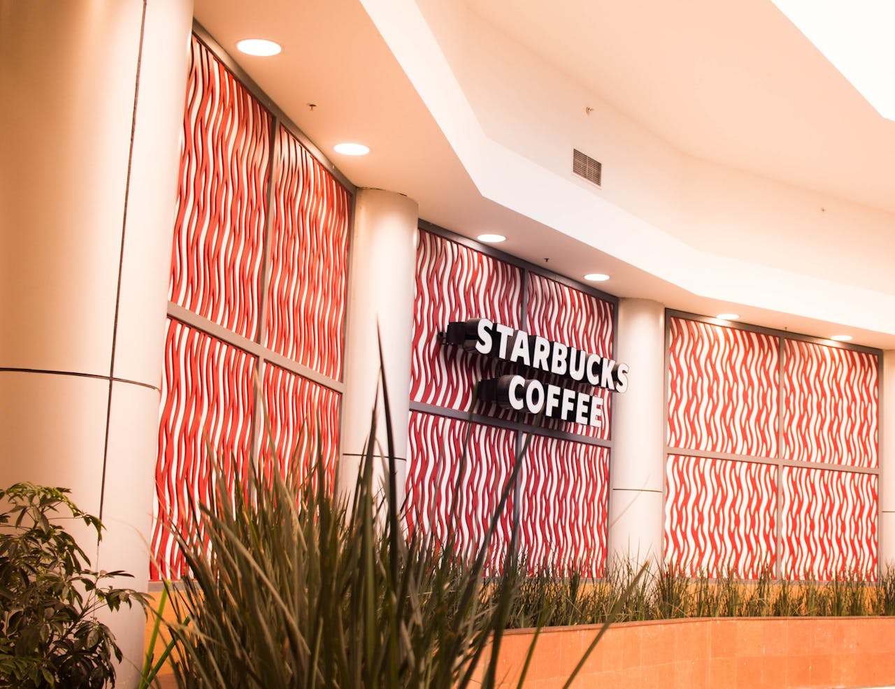 franchise marketing starbucks store